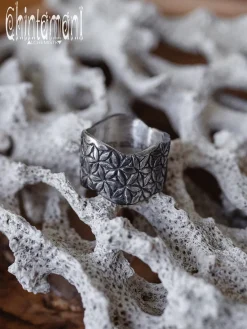 Chintamani Alchemistry Life Power Ring Silver^ Accessories