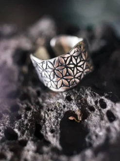 Chintamani Alchemistry Life Power Ring Silver^ Accessories